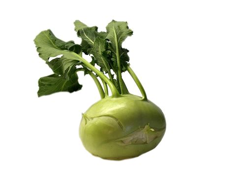 Kohlrabi Vegetables Green - Free photo on Pixabay - Pixabay