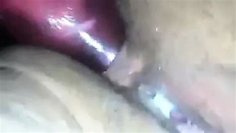 Free Anal Cum Porn Videos XHamster