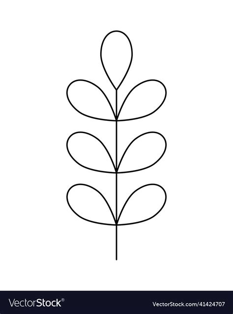 Laurel branch with leaves Royalty Free Vector Image