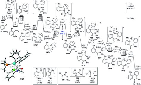 Dft Computed Energy Profiles For Pd Catalyzed Dehydrogenative Acylation