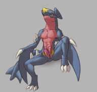 Post Garchomp Kingepitaph Porkyman