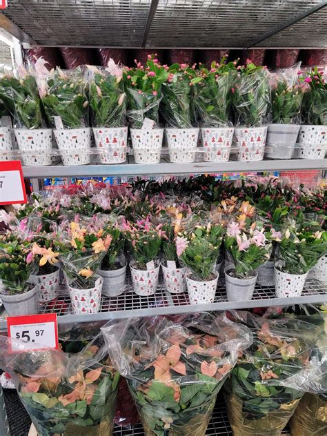 WALMART SUPERCENTRE - 90 Campsite Rd, Spruce Grove AB - Hours