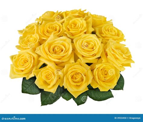 Yellow Rose Bouquet Cutout Stock Photo Image Of Natural 3933450