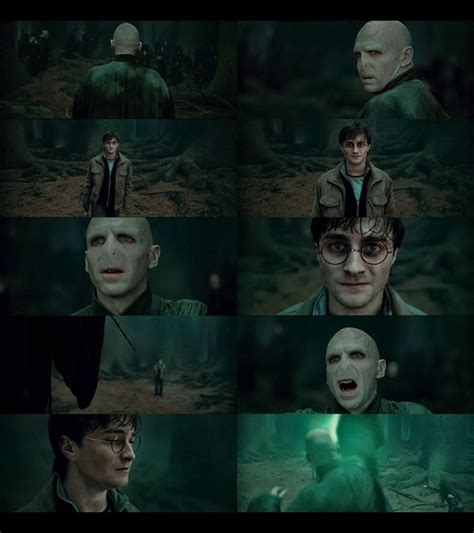 Deathly Hallows Voldemort n Harry - Harry Potter Fan Art (13681393 ...