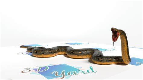 Anaconda 3D Model Rigged and Low Poly - Team 3d Yard