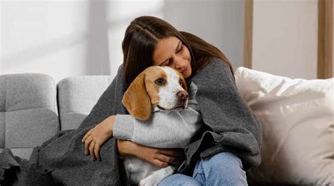 Cómo acompañar a las mascotas al morir El Comercio