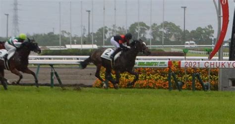 ＜中京5r・2歳新馬＞雨が降りしきる中、1番人気に応えて快勝したメリトクラシー ― スポニチ Sponichi Annex ギャンブル