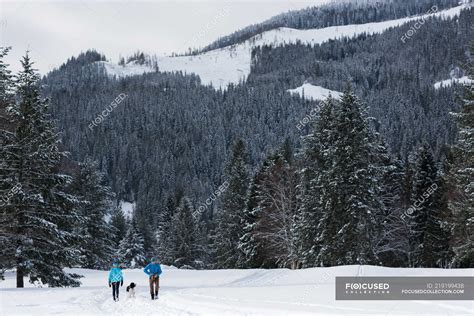 Couple with dog walking on snow landscape at winter — chilling ...