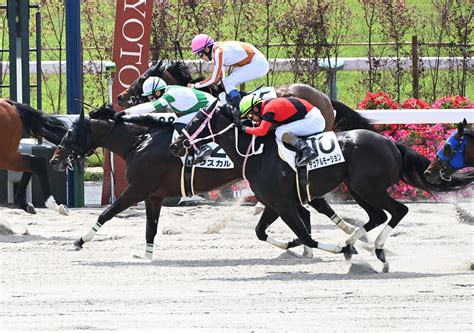 逃げ切り寸前で落馬のアクシデント 鮫島駿騎手は予定通り騎乗、6番人気馬で勝利も／京都2r｜極ウマ・プレミアム