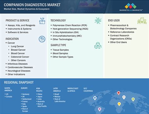 Companion Diagnostics Market Size Share Trends And Revenue Forecast