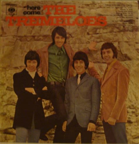 The Tremeloes - Here Come The Tremeloes (1967, Vinyl) | Discogs