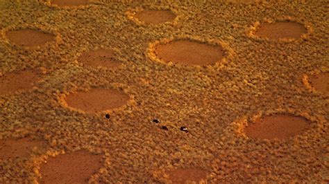 Mysterious Fairy Circles Of Namibia Amusing Planet