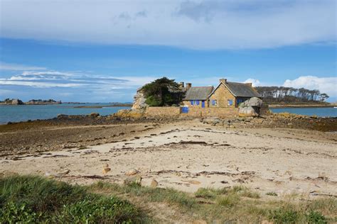 Ces Petites Toiles Jaunes Envahissent Les Plages Fran Aises Et