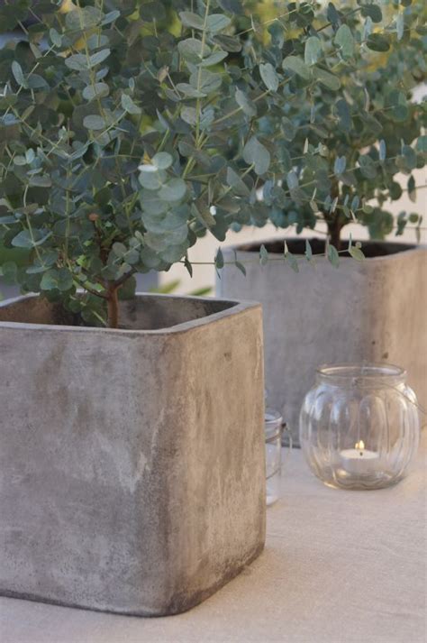 Concrete Planters Large Concrete Planters Diy Cement Planters Diy