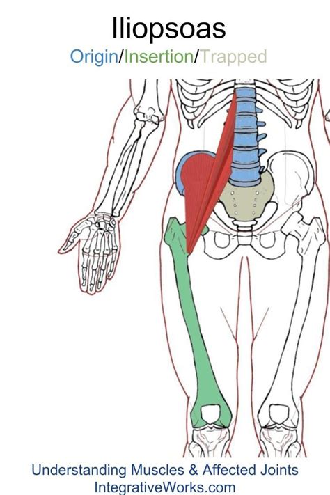 Trigger Points Stiff And Slow When Rising From Seated Position