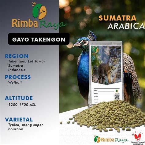 Jual Arabica Green Bean Gayo Takengon Wethull Process Komersial Grade