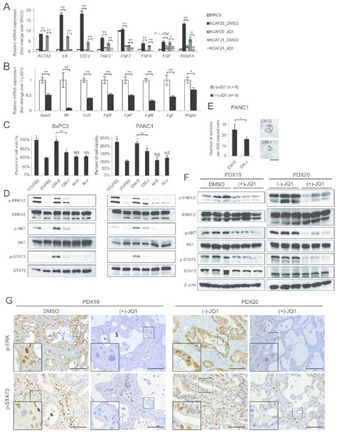 Jq1 Alters The Secretome Of Cafs Reducing Pdac Proliferation A B The Download Scientific