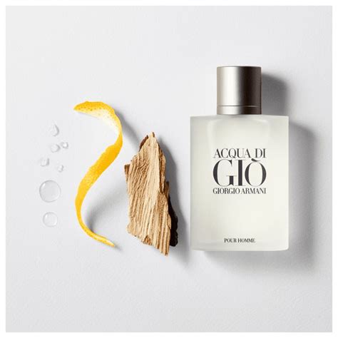 Acqua Di Giò Herrendüfte Giorgio Armani Eau De Toilette