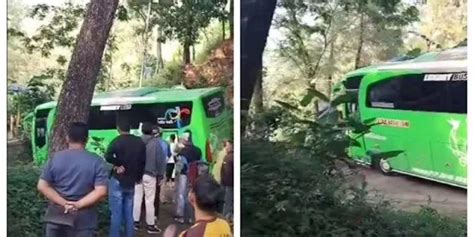 Ikuti Google Map Bus Pariwisata Nyasar Ke Hutan Eramuslim