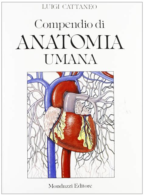 ANATOMIA DEL SISTEMA NERVOSO CATTANEO PDF