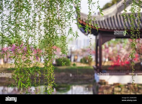 Jiangnan gardens - li garden Stock Photo - Alamy