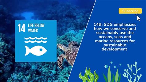 Un Sustainable Development Goals Life Below Water Off