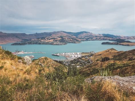 Hiking the Christchurch Gondola in New Zealand | Jana Meerman