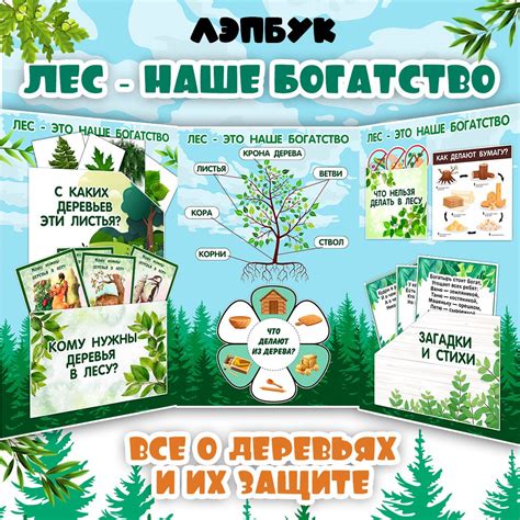 Лэпбук «Лес — наше богатство» для детей 4–8 лет, 17 PDF страниц с ...