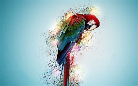 Macaw Parrot Bird Tropical Psychedelic Artwork Art Wallpapers Hd