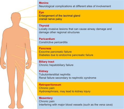 Frontiers Igg Related Digestive Diseases Diagnosis And Treatment