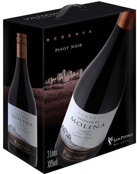 Castillo De Molina Reserva Pinot Noir 2010