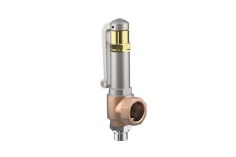 Cryogas Cryogenic DN6 To DN50 Safety Relief Valves Supplier