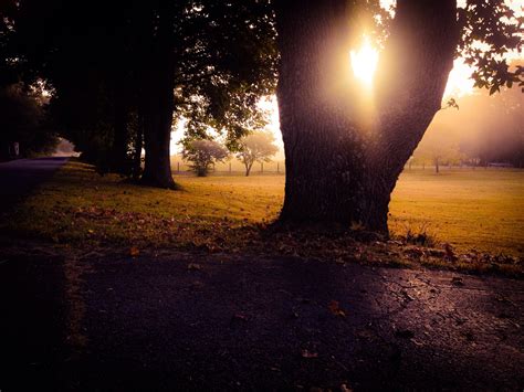 What is the Sunshine Protection Act? | The US Sun