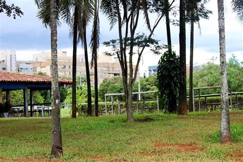 Parque Da Cidade Dona Sarah Kubitscheck Em Bras Lia Df Reas Verdes