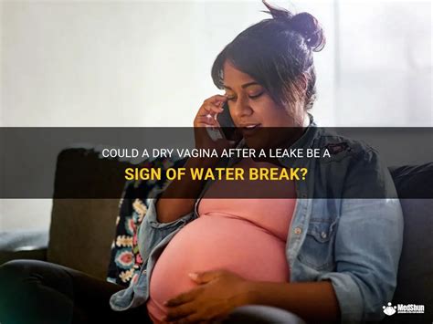 Could A Dry Vagina After A Leake Be A Sign Of Water Break MedShun