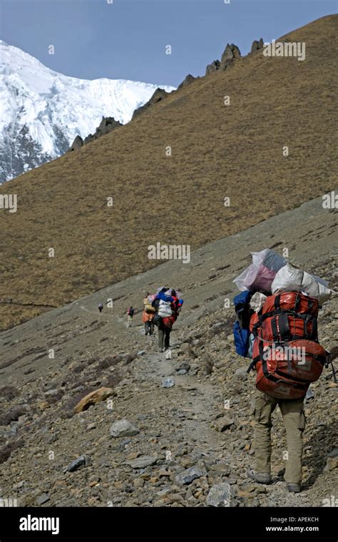 Porters On The Way To Tilicho Lake Annapurna Circuit Trek Nepal Stock