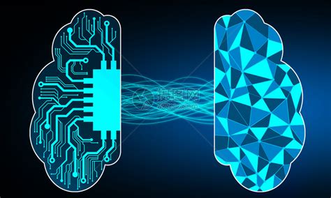 人类大脑对网络的3D影响高清图片下载 正版图片306118255 摄图网