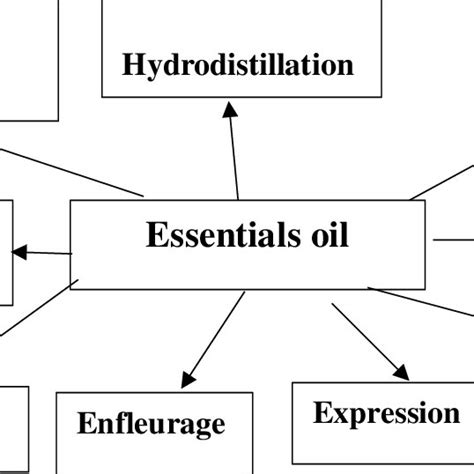 Methods Of Extracting Essential Oils Download Scientific Diagram