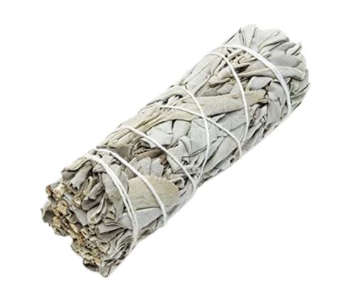 White Sage Smudge - Extra Large | Shop Today. Get it Tomorrow ...