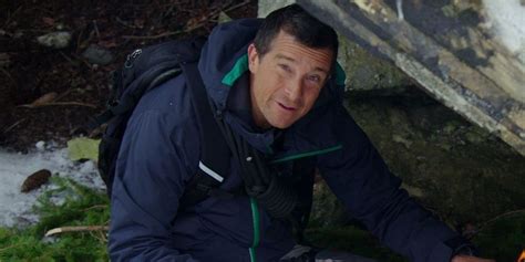 Bear Grylls Reportedly Had To Be Saved By Medical Staff After Bee Sting ...