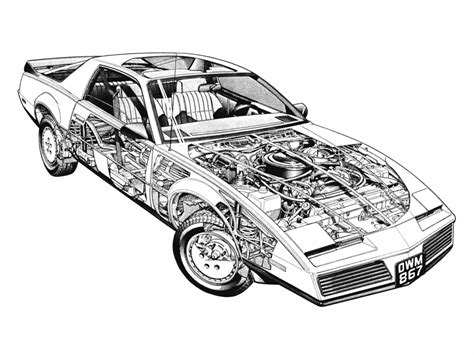 Firebird Coloring Book Coloring Pages