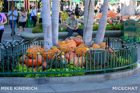 Downtown Disney_Fall Decorations up while Christmas Music is Playing-1 ...