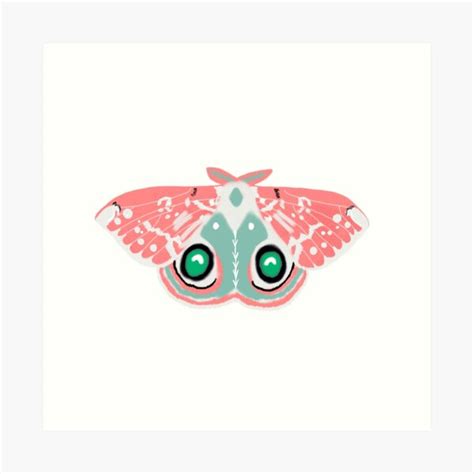 Pink Green Moth Sticker Moth Art Pink Moth Lepidoptery Moths Moth