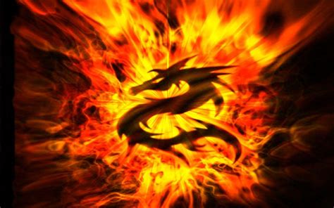 Flaming Dragon Wallpapers - Top Free Flaming Dragon Backgrounds ...