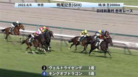 日経新春杯gii2023 参考レース 競馬予想動画 Netkeiba