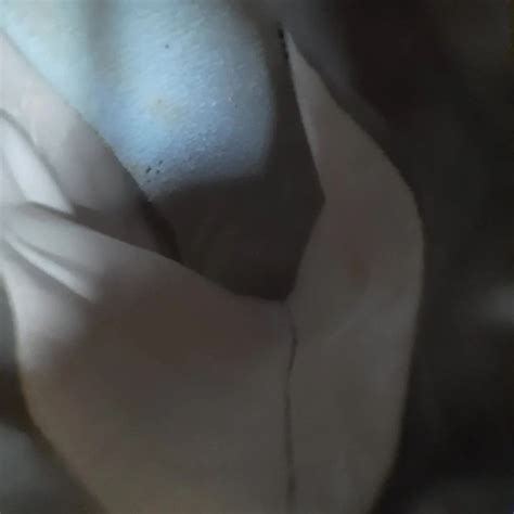 Jouet Amateur Amateur Porn XHamster