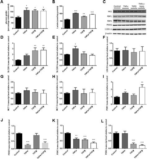 Glycolysis Was Promoted Upon Tnf And Tgf Induced Emt Panc Cells