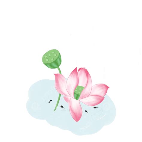 Hand Painted Lotus Hd Transparent Hand Painted Rain Lotus Illustration