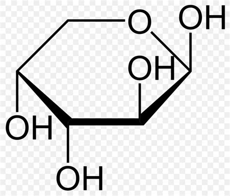 Haworth Projection Glucose Ribose Arabinose Mannose, PNG, 1200x1024px ...