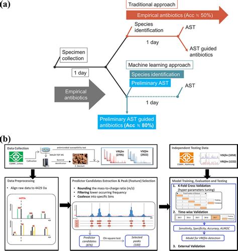 A Schematic Illustration Of The Application Of The Vrefm Model A Download Scientific Diagram